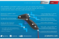 Preview: Scalextric Handregler ARC AIR/Pro 1 Stück Art. 8438